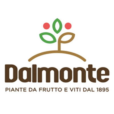 Logo-cliente-Dalmonte--Tecnicamista-Faenza