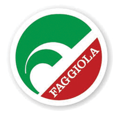 Logo-cliente-Faggiola-Tecnicamista-Faenza